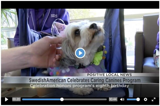 Swedes_Screenshot_1