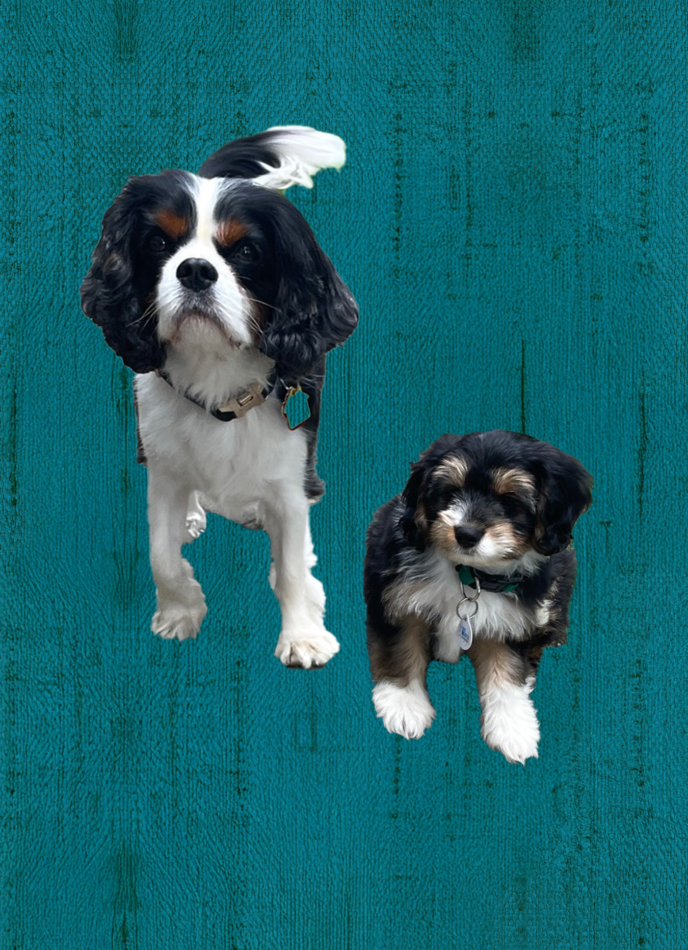 Russell & Ryker