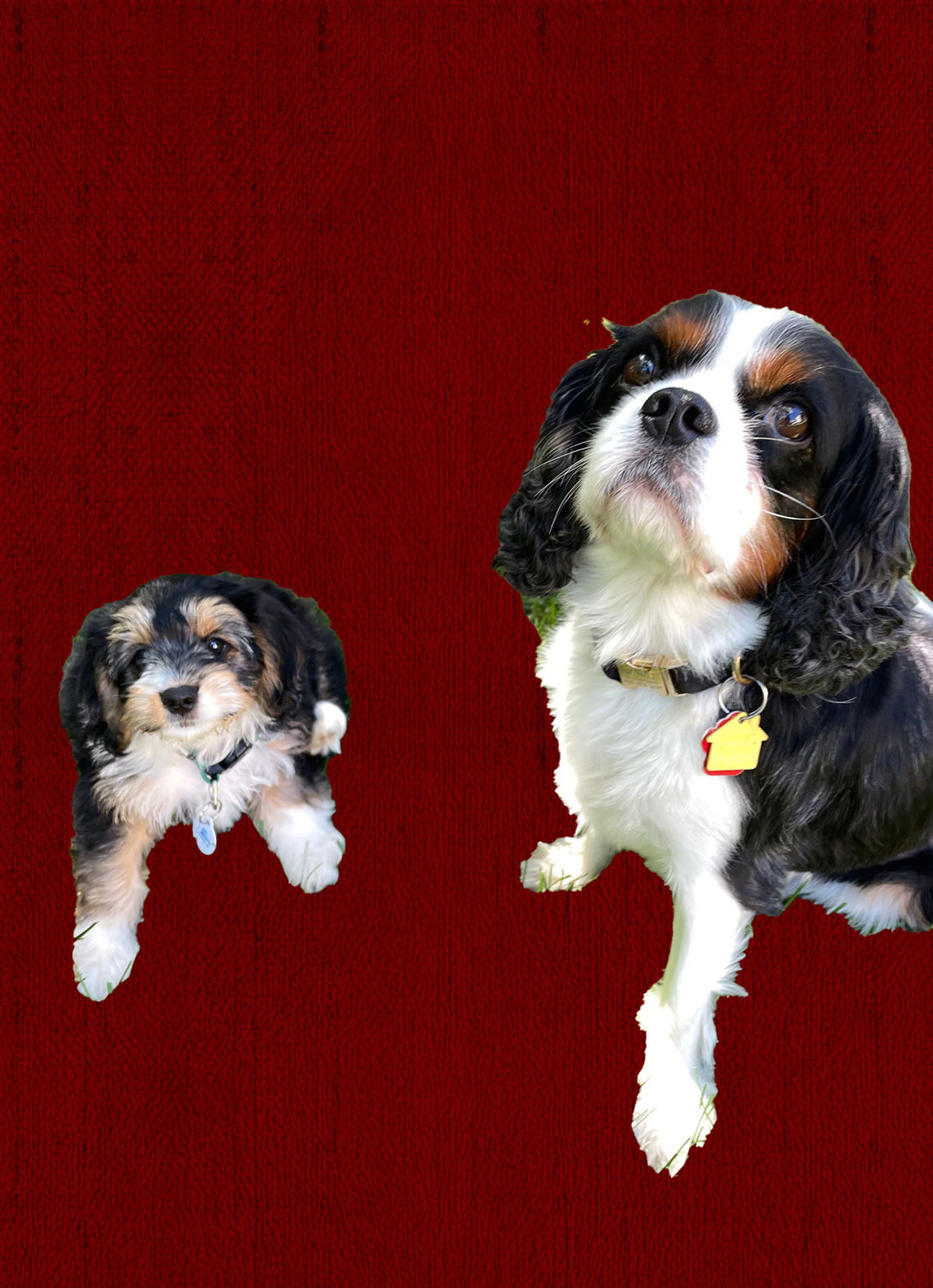 Russell & Ryker